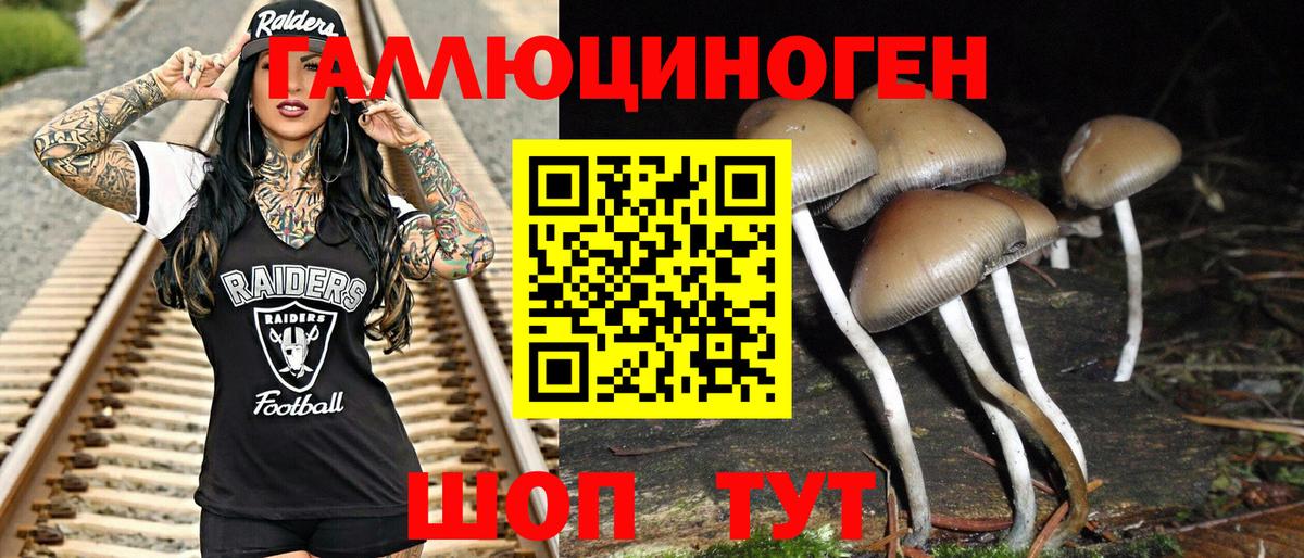где купить наркотик  Вход с VPN  Псилоцибиновые грибы GOLDEN TEACHER  Краснодар  Галлюциногенные грибы мухоморы 
